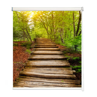 Enchanted Forest Path Roller Blind