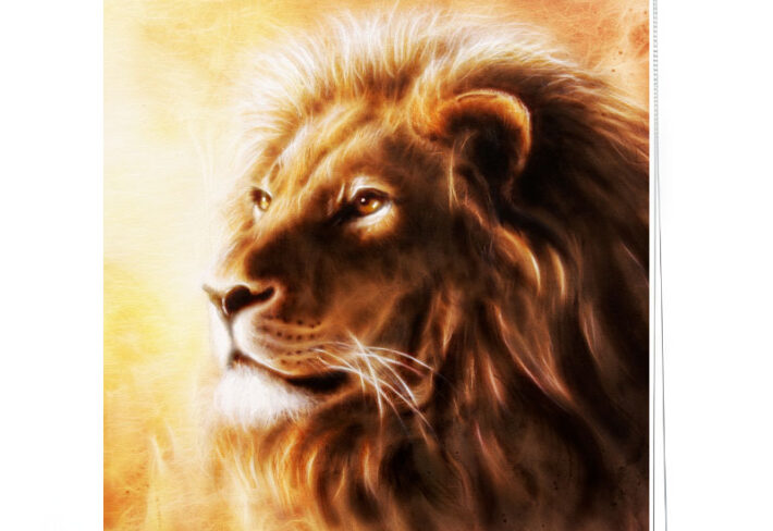 Majestic Lion Portrait Roller Blind