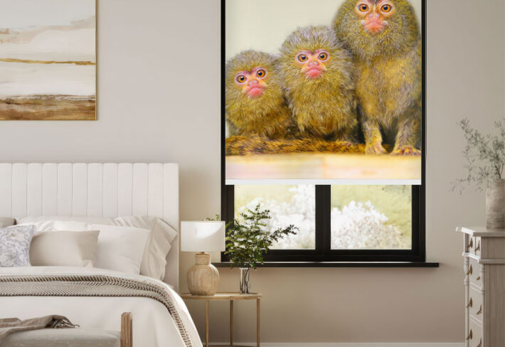 Exotic Marmoset Portrait Outside Roller Blind