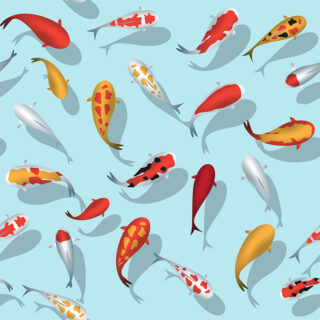 Calming Koi Print Window Roller Blind