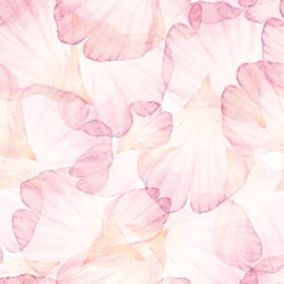 Delicate Pink Petals Roller Blinds