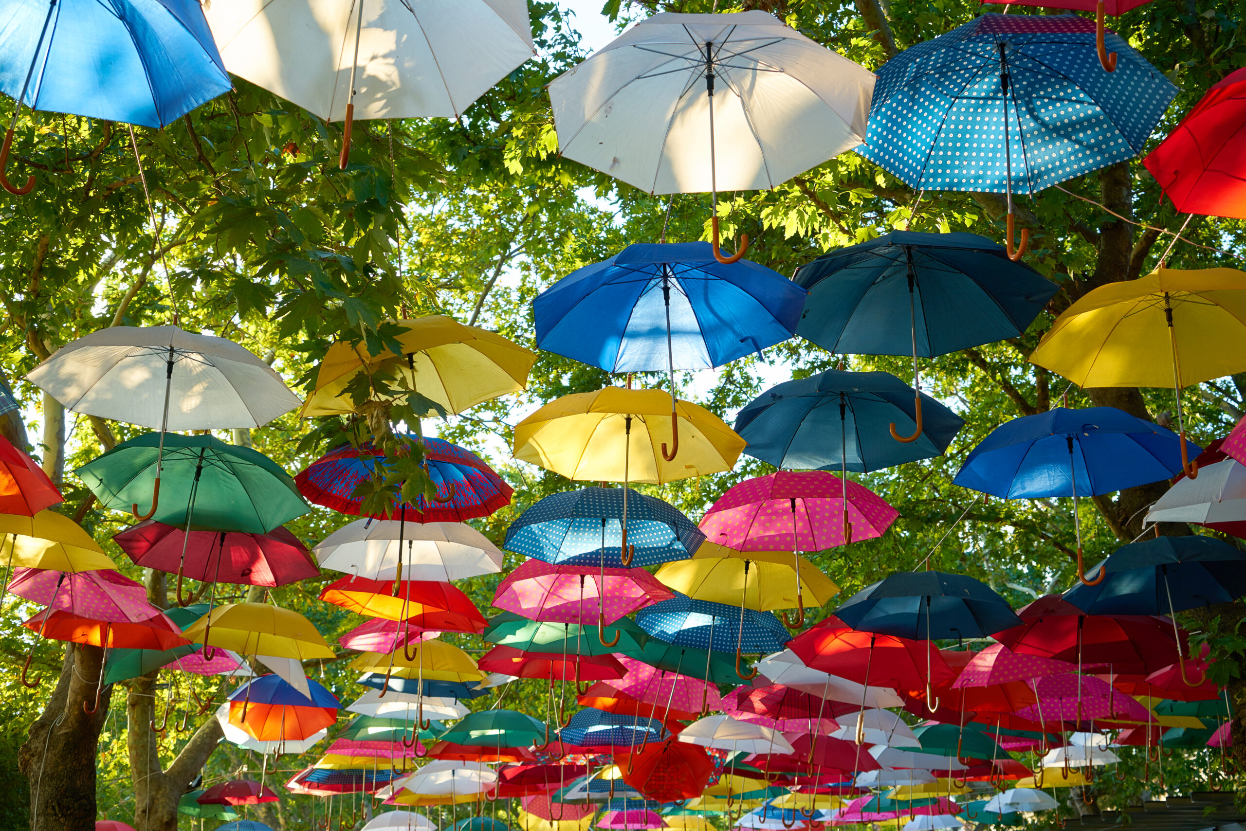 Colorfull Umbrellas