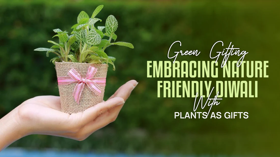 Green_Gifting_Embracing_Nature-Friendly_Diwali_with_Plants_as_Gifts