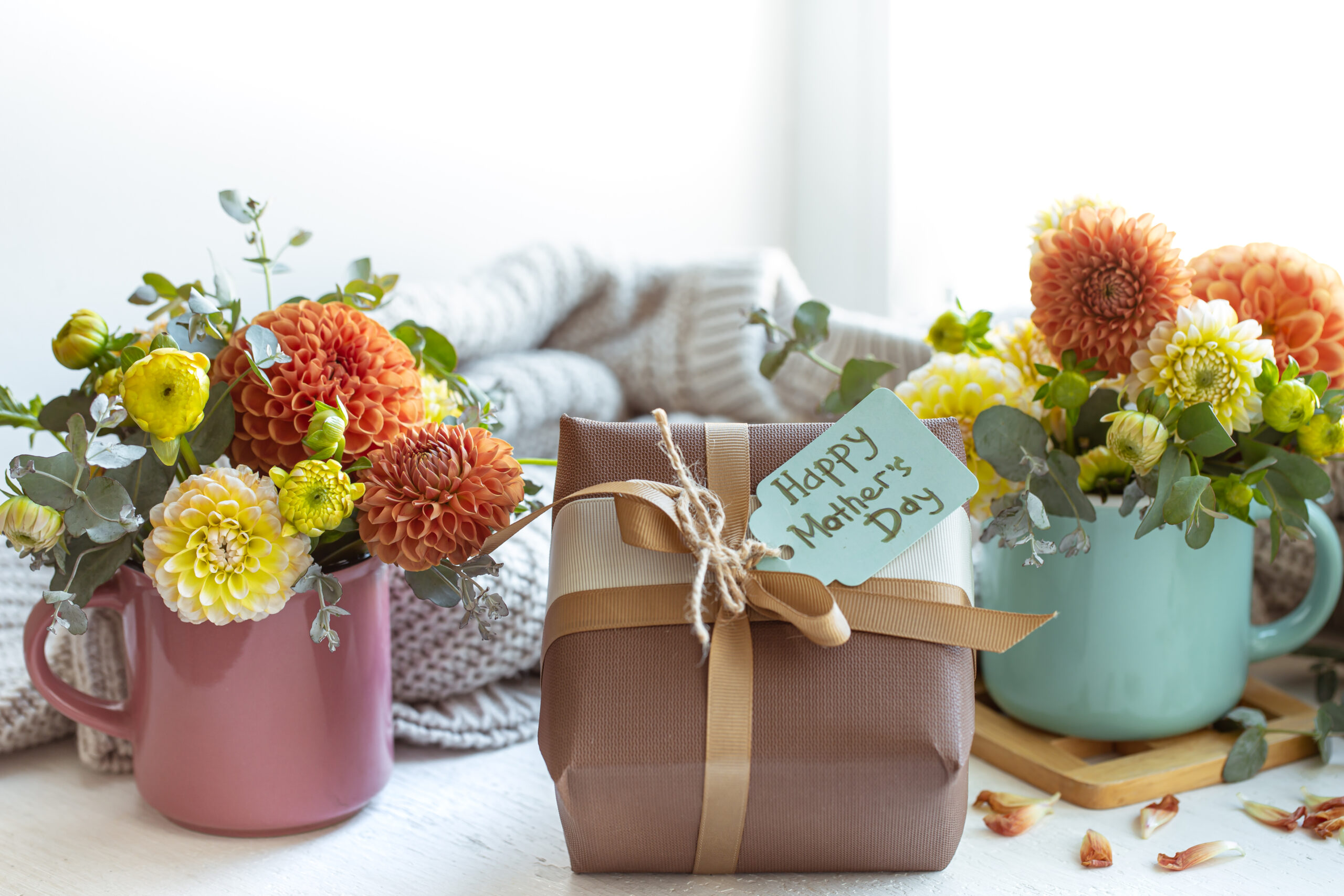 Spring composition for mother's day with a gift and chrysanthemum flowers.