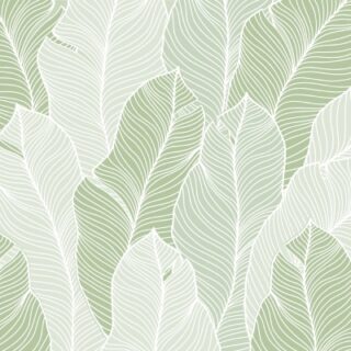Everen, Calm Tropical Leaf Outline Wallpaper