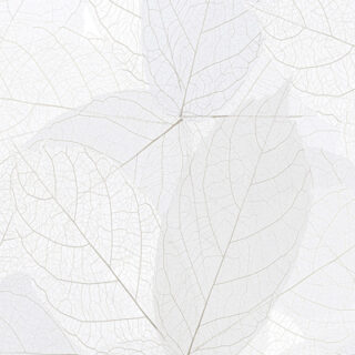 Aeroskein, Airy Light Gray Monochromatic Canopy Wallpaper
