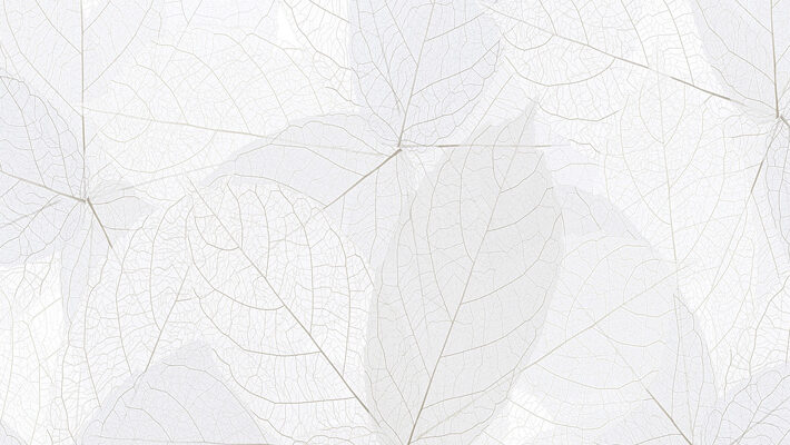 Aeroskein, Airy Light Gray Monochromatic Canopy Wallpaper