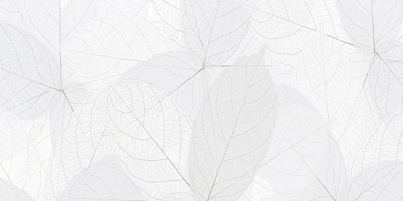 Aeroskein, Airy Light Gray Monochromatic Canopy Wallpaper