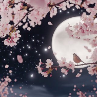 Moonskura, Subtle Starlight and Branch Design Wallpaper