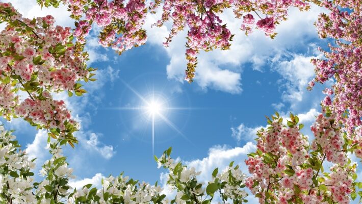 Portavia, Floral Cloud View Wallpaper Mural