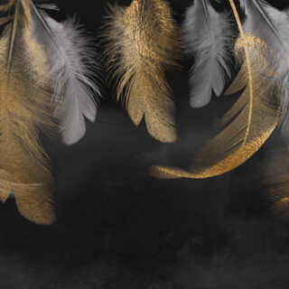 Opaline, Soft-Gilded Feather Veils Wallpaper Mural