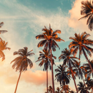 Vayona, Serene Island Escape Mural Wallpaper