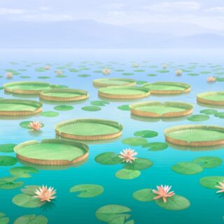 Ambuja, Calm Lotus Waterworld Wallpaper Mural