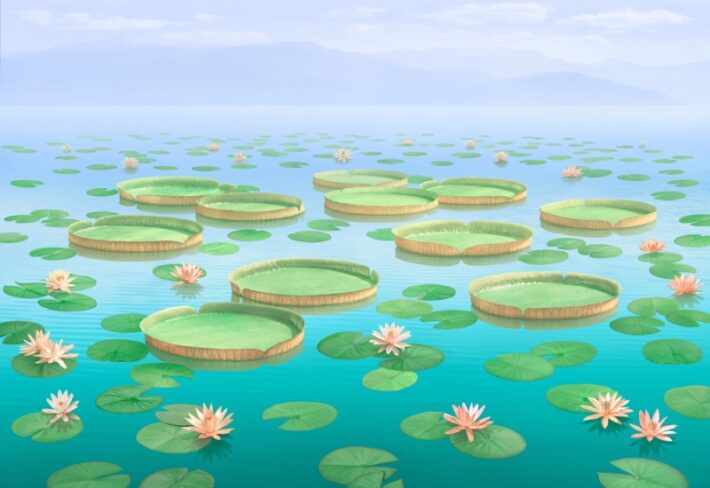 Ambuja, Calm Lotus Waterworld Wallpaper Mural