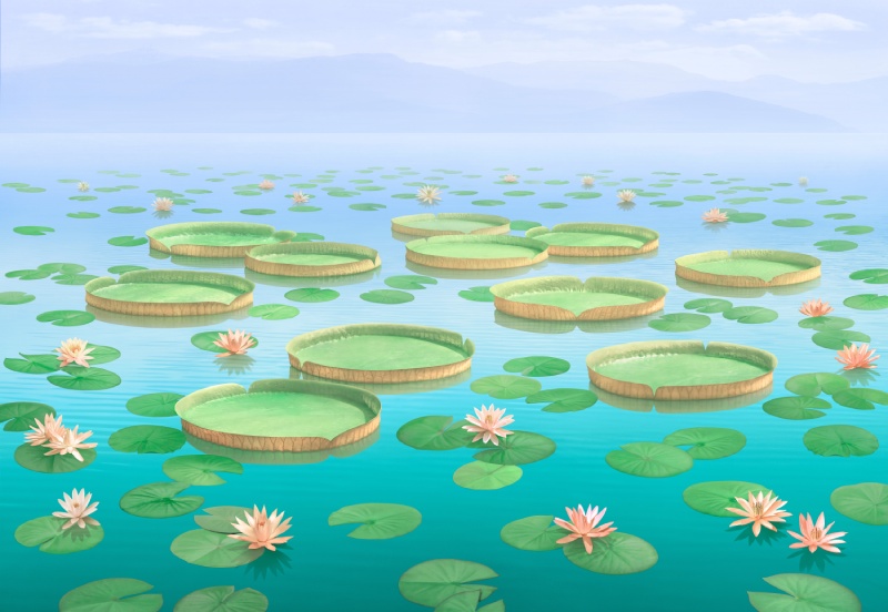 Ambuja, Calm Lotus Waterworld Wallpaper Mural