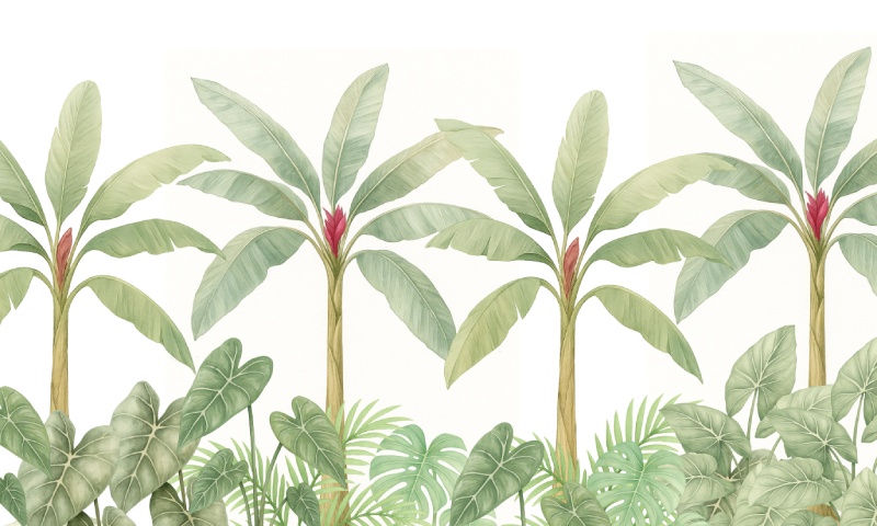 Banari, Modern Watercolor Banana-leaf Elegance Wallpaper Mural