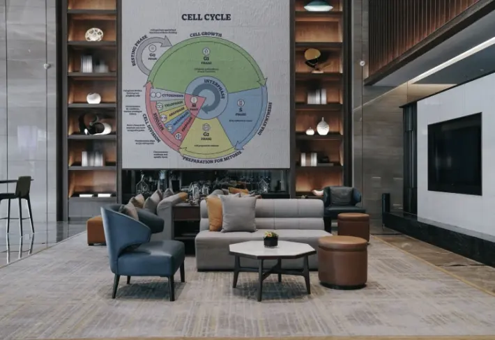 Educational Cell Cycle Diagram Wallpaper