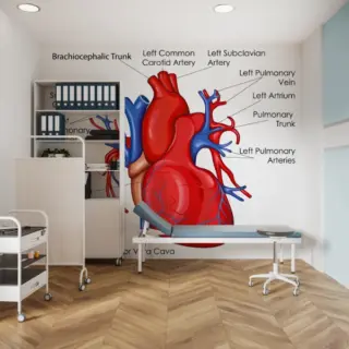 Educational Human Heart Diagram Wallpaper