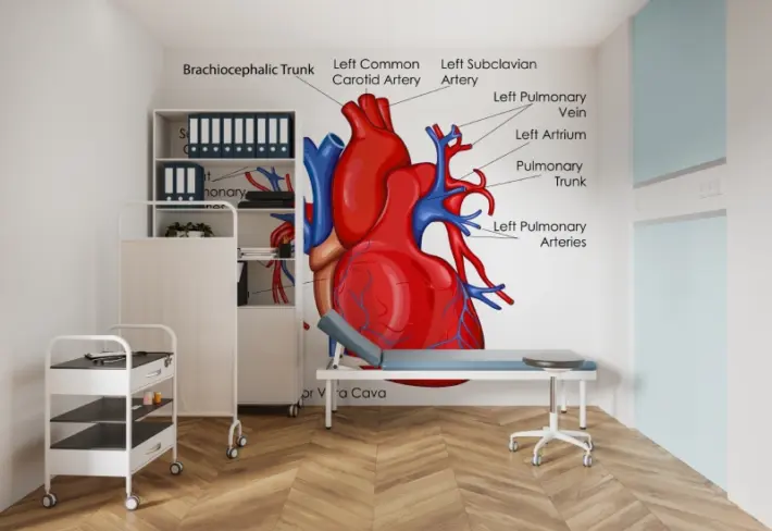 Educational Human Heart Diagram Wallpaper