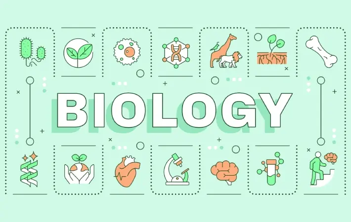 Modern Biology Education Wallpaper