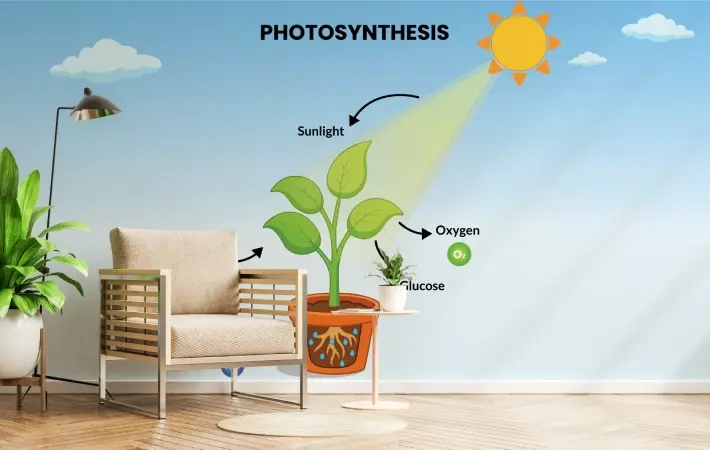 Photosynthesis Educational Wallpaper