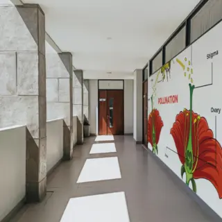 Pollination Process Educational Wallpaper