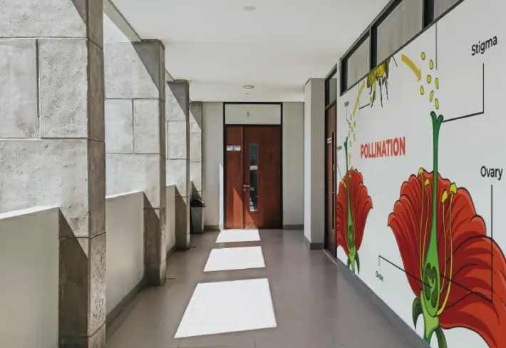 Pollination Process Educational Wallpaper