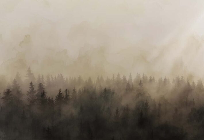 Solstice, Fleeting Moment of Light Over The Wilderness Mural
