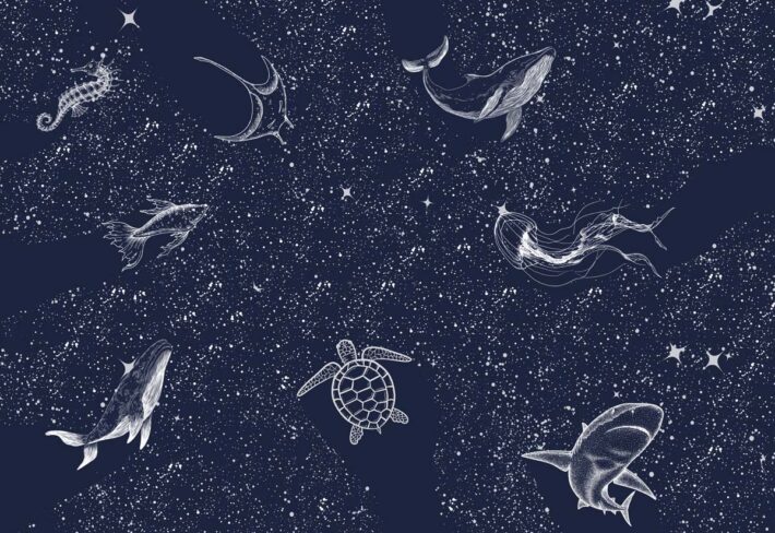 Starfield, White Line Sea Creatures Mural