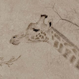 Serengeti, A Classic Sketch From The Heart of The Wild Mural
