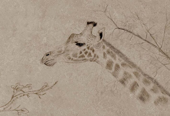 Serengeti, A Classic Sketch From The Heart of The Wild Mural
