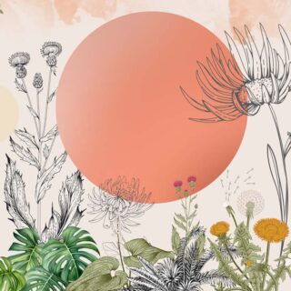 Solridge, Sunset Bloomscape Wallpaper Mural