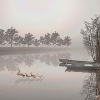 Hazy Horizon, Calm Lake Landscape Wallpaper Mural