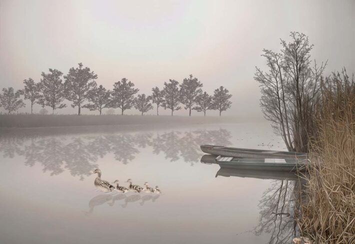 Hazy Horizon, Calm Lake Landscape Wallpaper Mural