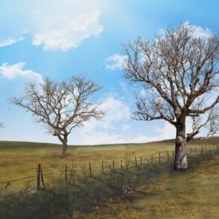 Horizon, Rural Dry Season Scape Wallpaper Mural