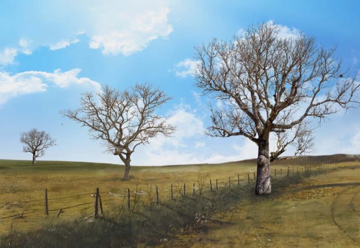 Horizon, Rural Dry Season Scape Wallpaper Mural