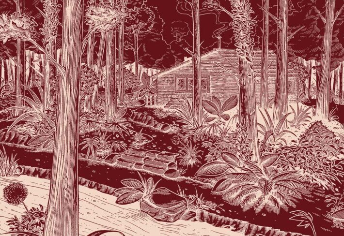 Crimson, Deep Forest Landscape Wallpaper Mural