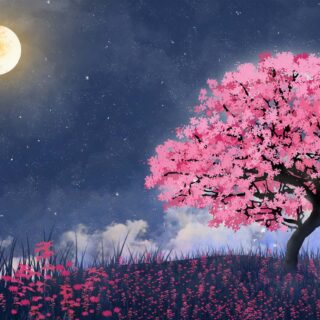 Sakurae, Twilight Cherry Blossom Whisper Wallpaper Mural