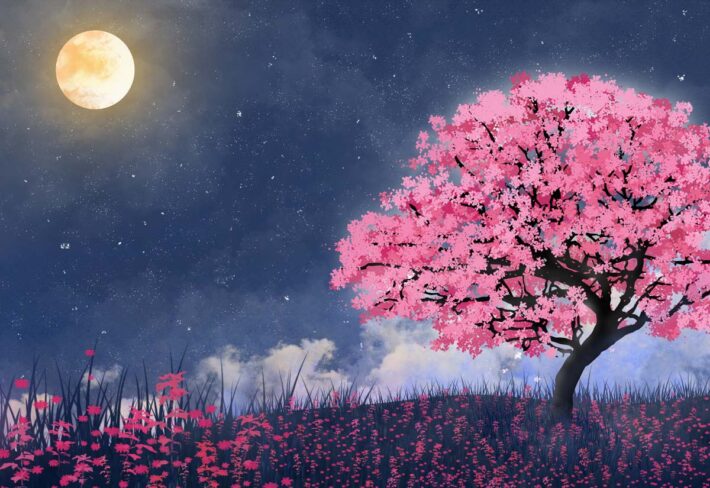 Sakurae, Twilight Cherry Blossom Whisper Wallpaper Mural