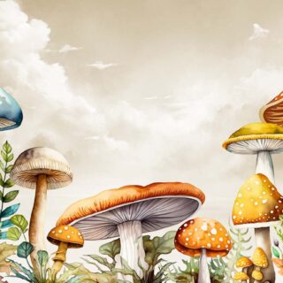 Mykora, Enchanted Mushrooms Wallpaper Mural