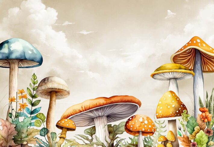Mykora, Enchanted Mushrooms Wallpaper Mural