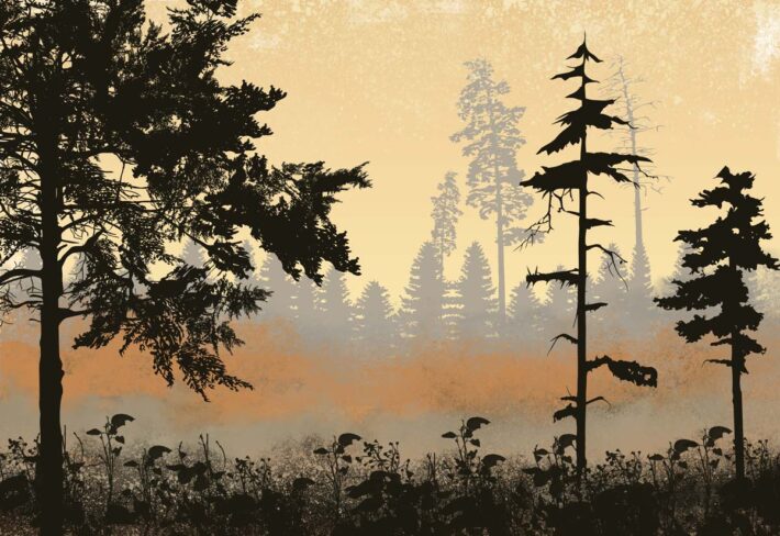 Lurien, Whispering Treefall Wallpaper Mural
