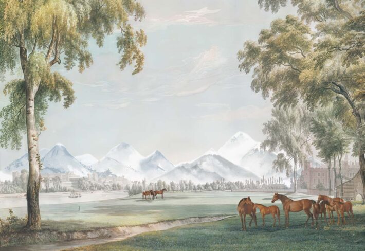 Alpine Pasture, Vintage Horse & Castle Wallpaper Mural