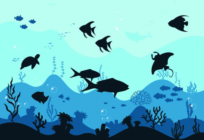 Aqualune, Ocean Whimsy Wallpaper Mural