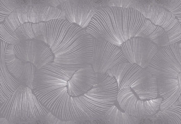 Aerisca, Silver Petal Drift Wallpaper Mural