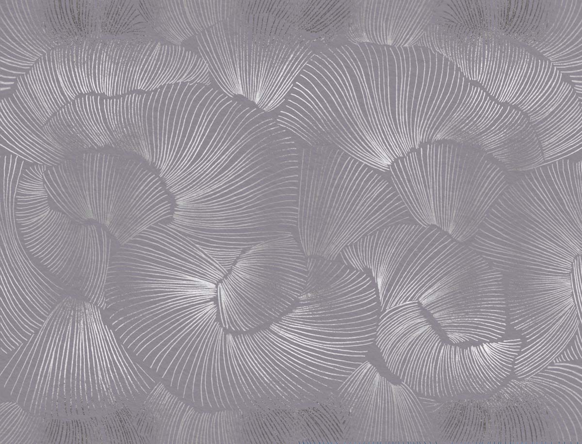 Aerisca, Silver Petal Drift Wallpaper Mural