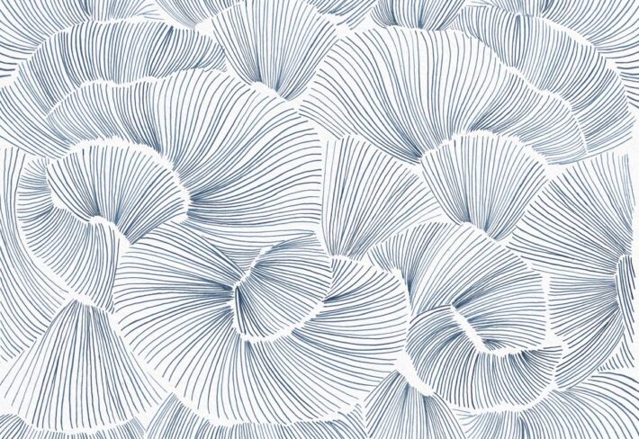 Aerisca, Soft Steel Blue Petal Drift Wallpaper Mural
