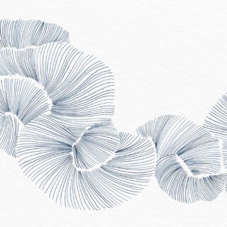 Aurevia, Fine Indigo Linework Petals Wallpaper Mural