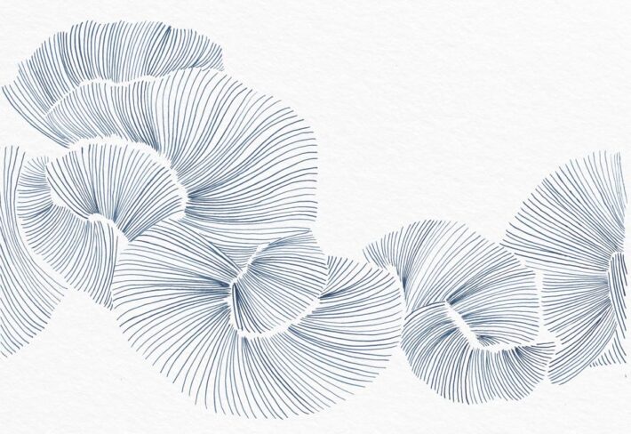 Aurevia, Fine Indigo Linework Petals Wallpaper Mural