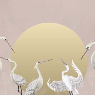Alira, Dancers of the Sky Wallpaper Mural